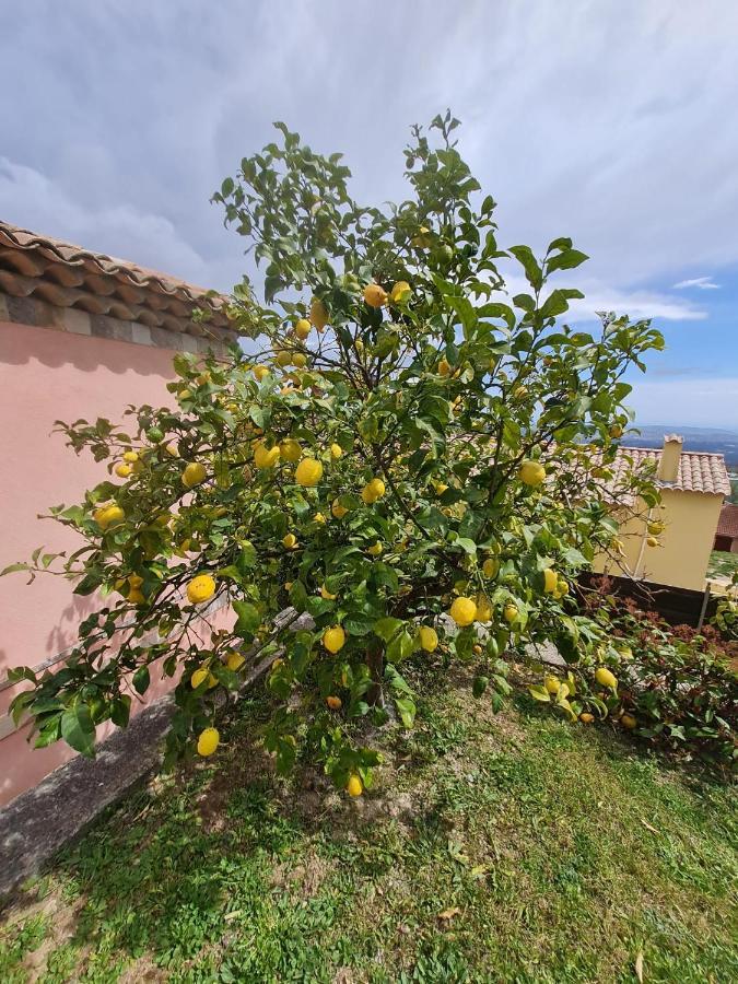 Adorable Maison Independante 30M2 Avec Piscine En Saison كابريس المظهر الخارجي الصورة